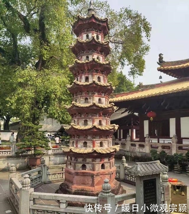 菩提路@六祖惠能的千年菩提路,风动,幡动,仁者心动