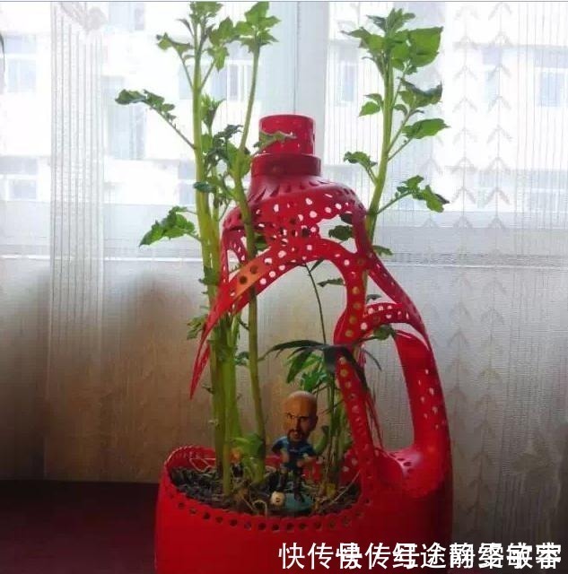 用完的洗衣液瓶千万别扔，它大有妙用！