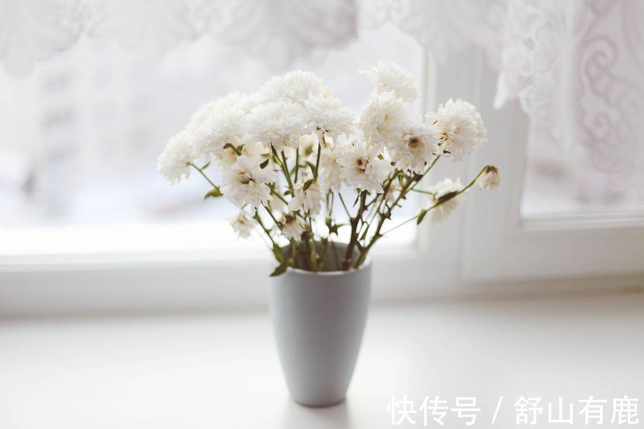 自傲!人老了,对以下4件事越看越“通透”,晚年不会差到哪里去