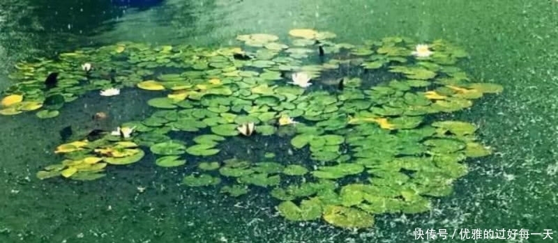 蒋捷这首词惊艳了700多年,写下了二十年漂泊的生活,充满了忧愁