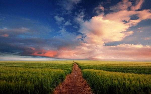 安娜·卡列尼娜|肖复兴：总有一些瞬间，温暖远去的曾经