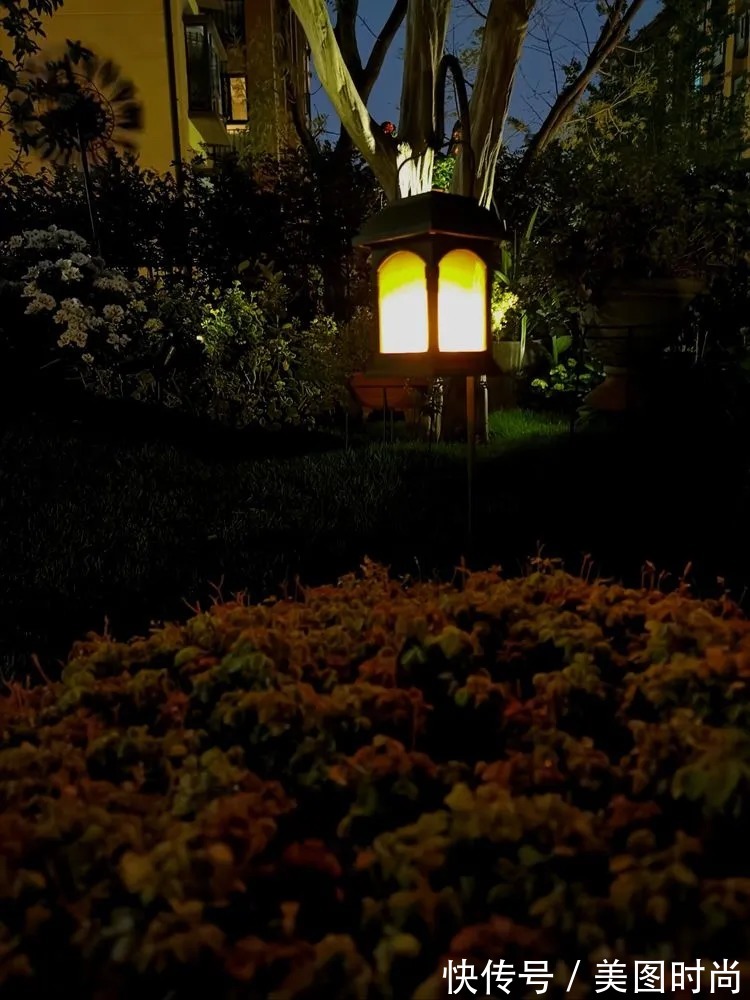 下午茶|一楼430㎡大院子，用1年半建成花园，网友：你这是建了个公园吧？