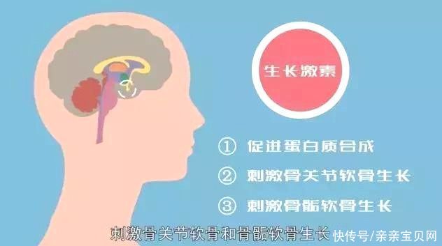 睡眠习惯|老人说“孩子贪睡长得快”是真的吗？教你如何让孩子睡得好长得高
