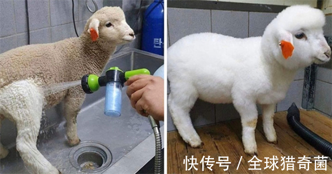 清洗干净|32张高压水枪清洁的瞬间，强迫症表示超酸爽