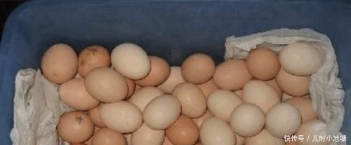 鸡蛋买回家别放冰箱,教你个小窍门,鸡蛋怎么放都不会坏