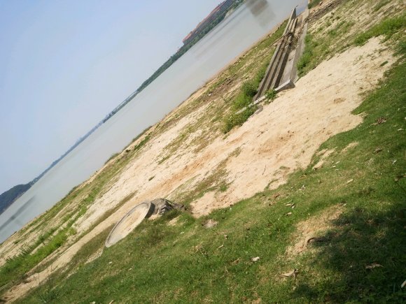 河沙才是养花万能土,家里的花,从不烂根、不黄叶