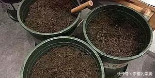 养花旧土别丢，掺入这“3样”，肥得流油不板结，养花太旺了