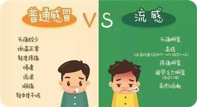 感冒|打喷嚏流鼻涕，流感还是感冒？（图）