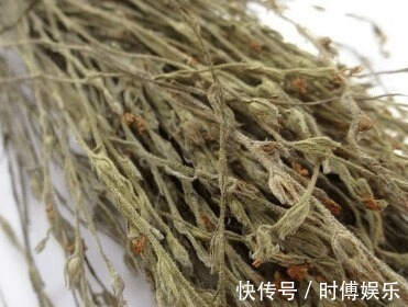 野草|三天挖不到一斤,每斤卖800元,见到别错过,因为它很稀罕!