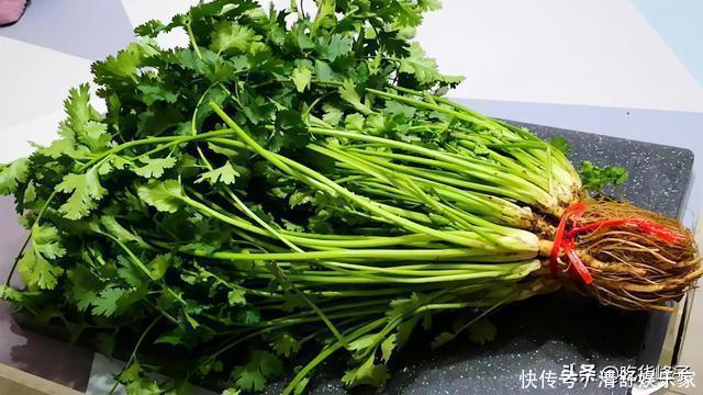 峰子|刚知道，香菜要这样保存，随吃随取，和刚买的一样新鲜，特简单