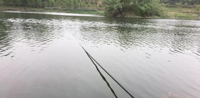 长竿钓鲫鱼还真要点技术!老钓友帮你捋一捋,哪几件事最重要