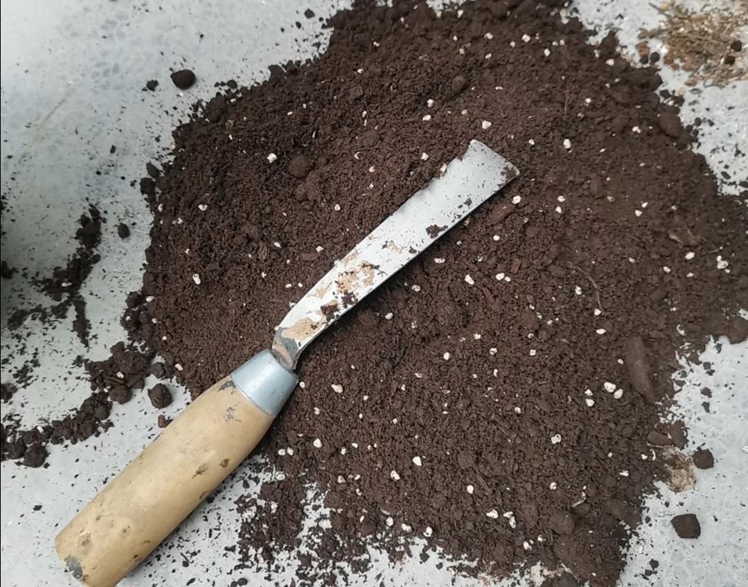 材料|旧花土不要扔,简单处理,掺上几种料,又成很好的“营养土”