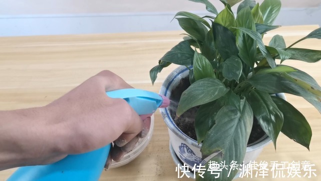 实用|蚊香灰别再倒掉了,收集起来省钱又实用,进来学学吧!