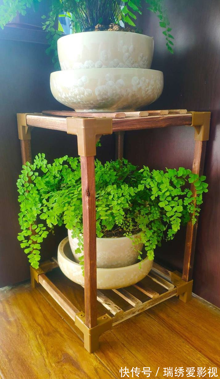 厕所再小,也要养盆吸味花,清除臭味、异味效果好