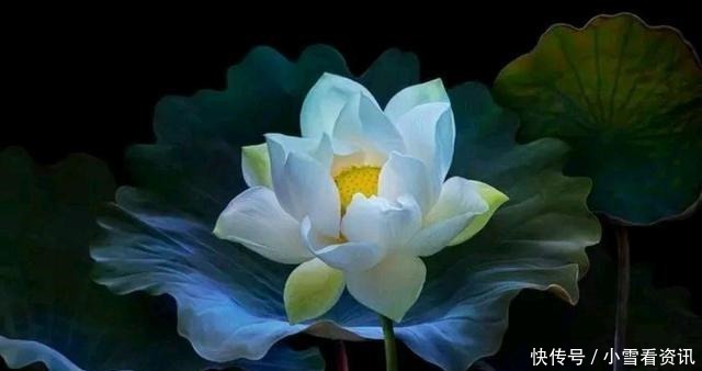 战胜|拯救世人,战胜疫情(一首赞美诗)