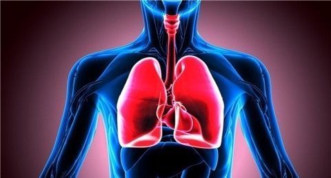 冠状病毒肺炎|新型冠状病毒肺炎期间三种食物多吃,既保护肺部又提高免疫力