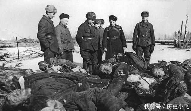 美国人|战争结束后，为何不能随便去翻战友的尸体！