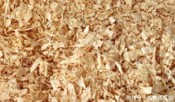  预警：家里养花，将这3样“废品”扔掉就是在扔钱