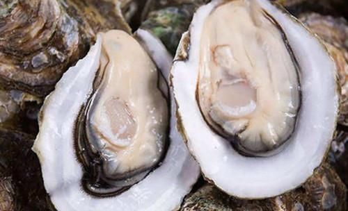 长相明明一模一样,为啥一个叫生蚝一个叫牡蛎原来有这种区别