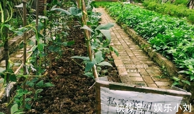 农庄|在小区租了一分菜地，年租金900元，5年到期了，是否还要继续？