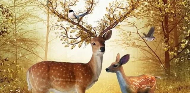 管仲有一毒计,轻而易举就灭掉他国,现在却成了美国的“杀手锏”