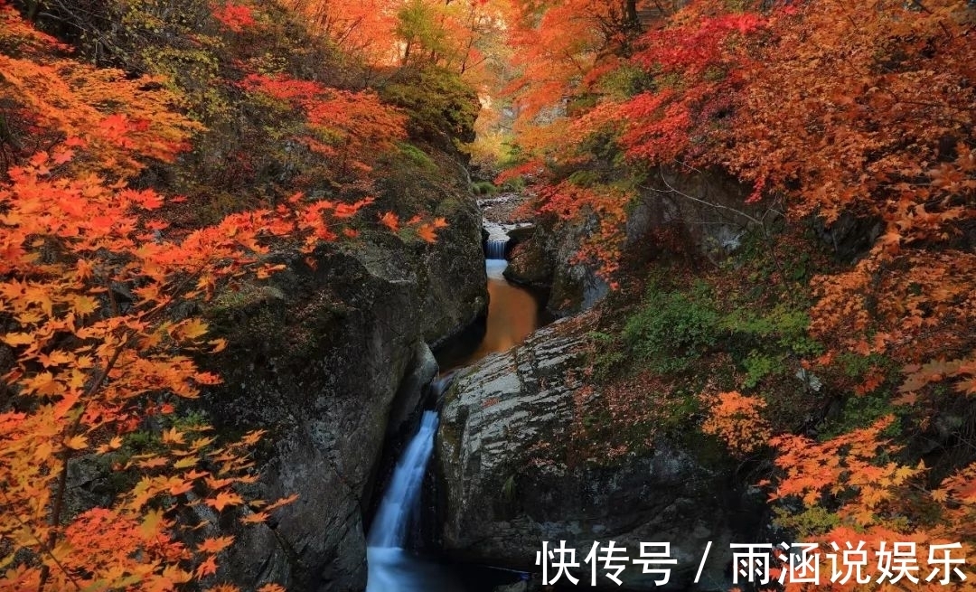 秋风|一阵秋风吹过，东北的这座城市让人着迷，它素有“枫叶之都”美称