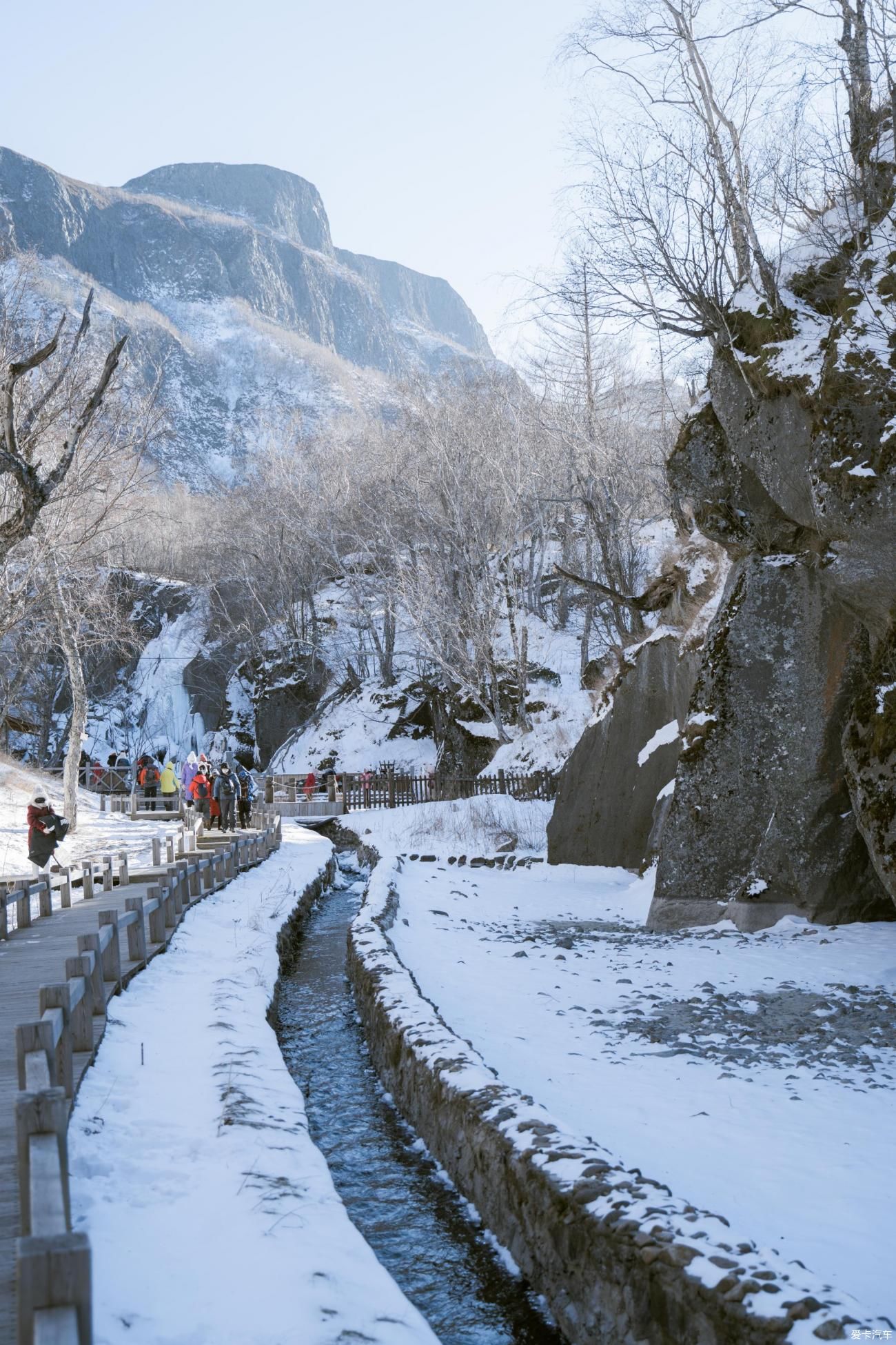 老年|在寂静雪原 遇见雪花真实的形状