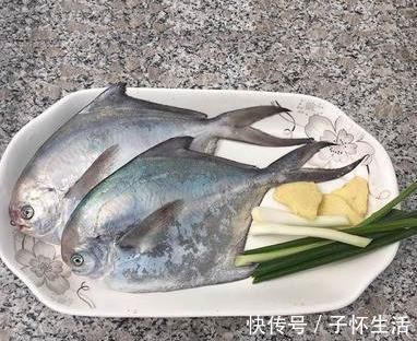 营养|内行人买鱼专挑这4种鱼，肉嫩刺少营养好，目前还不能人工养殖！