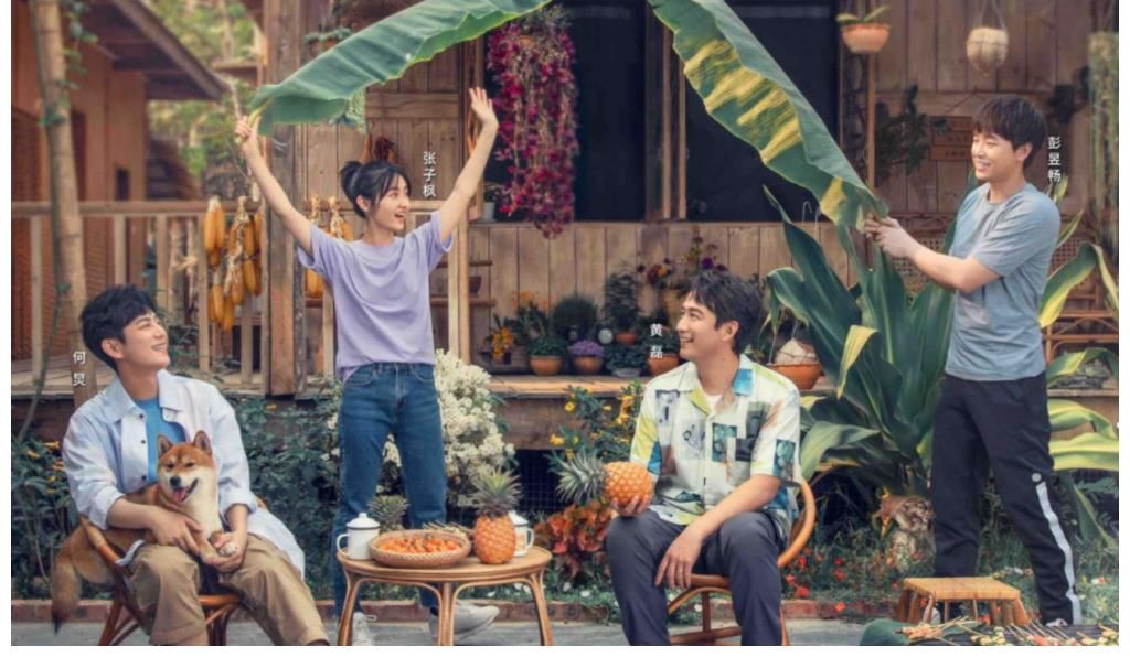 《向往的生活6》阵容曝光，依旧原班人马，黄磊的愿望真实现了？