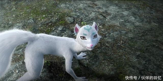 挑衅|武动乾坤元门最强高手不过转轮境,可为何敢挑衅天妖貂一族