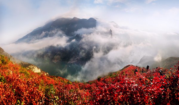 这季|重逢在此间，等这季巫山红叶上新