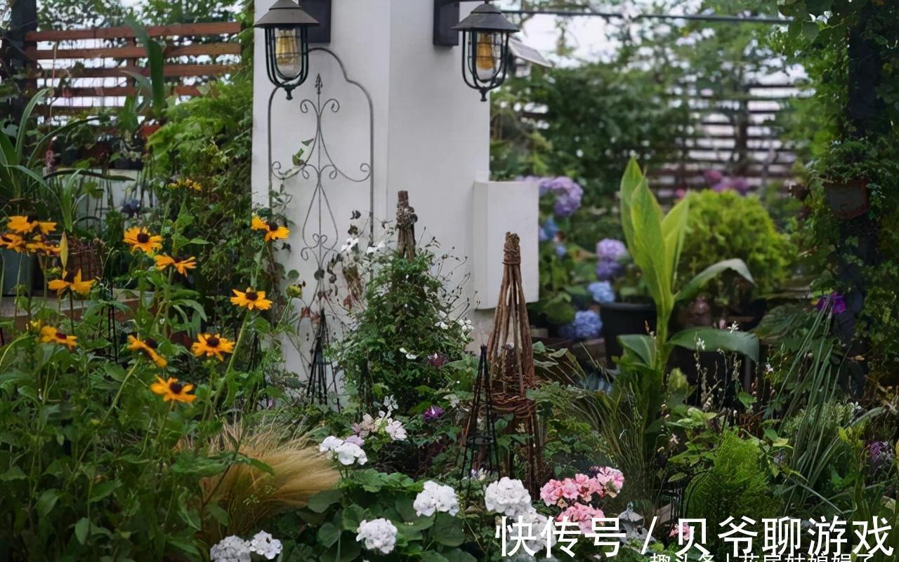 养花人都该学会的4项技能,养花方便还能省钱,轻松提升养花经验