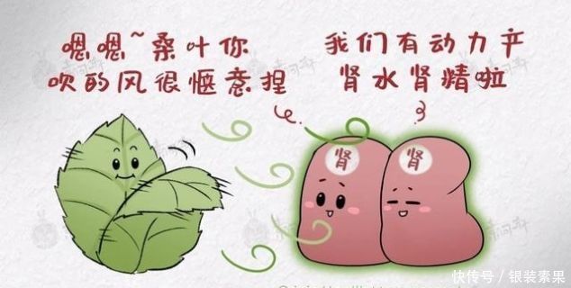 肝火|一味桑叶补骨髓,止盗汗,清肝明目润肺止咳就看你会不会用