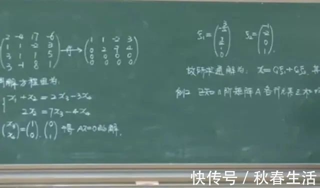 教科书|大学美女教师的课堂板书很惊艳，字迹工整美观，堪比“教科书”