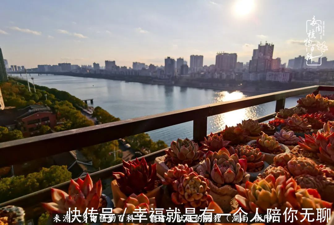 爱这一片缤纷的色彩,因为我们都是好色之徒!