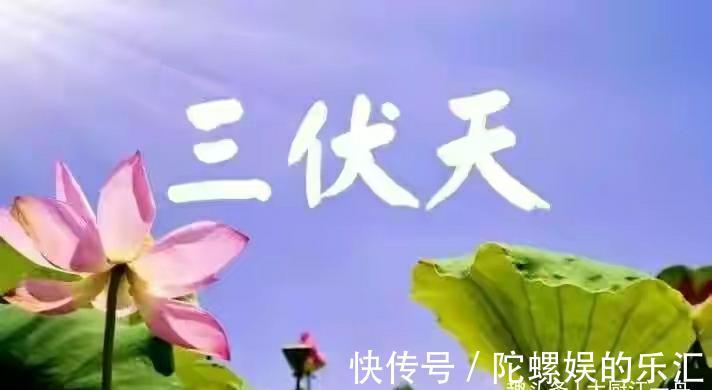 中伏|头伏、中伏、末伏哪个伏最热,究竟是为什么呢?看完后,长知识了