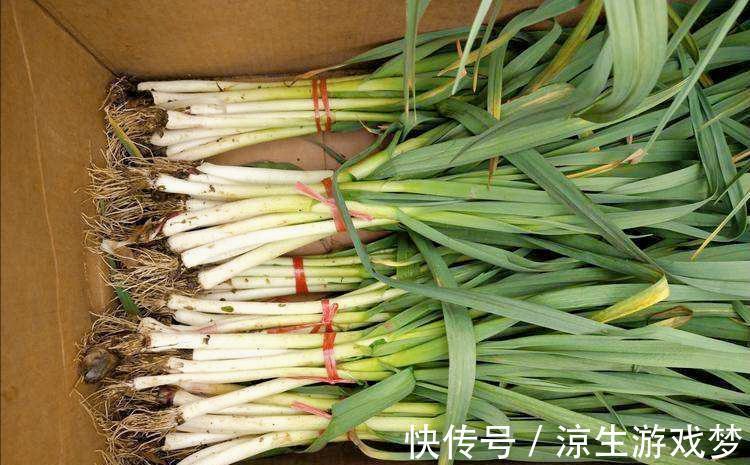 9种蔬菜根别扔掉,15天变盆景,吃不完就留着欣赏