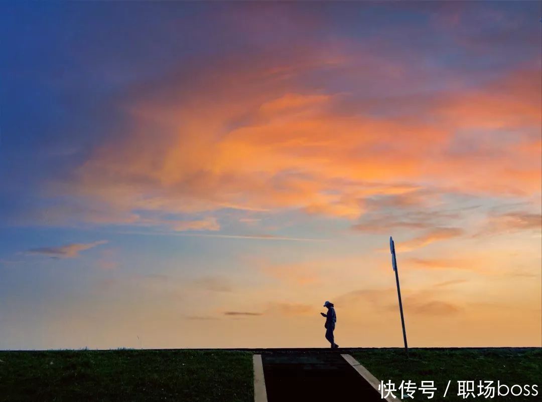 领导|“鞭打快牛”很无奈,看清得失终成事