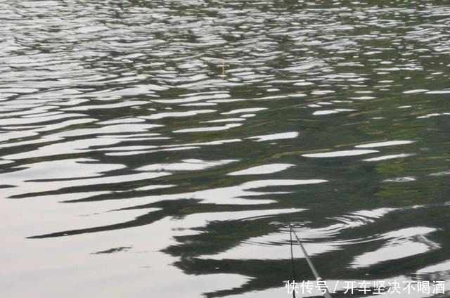 阿卢|高档浮漂怎么选大牌未必都好用,老钓友再谈买漂心得