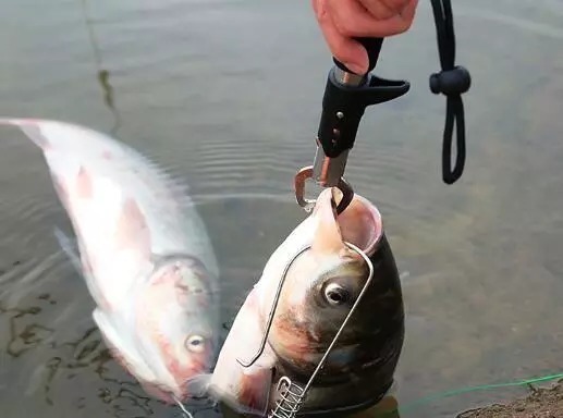 野钓|入秋后,钓鱼根本不用打窝!野钓用这些,水底的鱼全被你钓光了