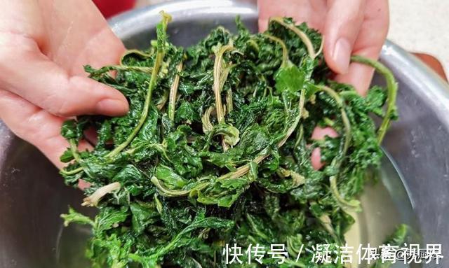 宝贝|很多人只吃果肉,其实叶子才是宝贝,多捡些回家,一晒一烀,真香