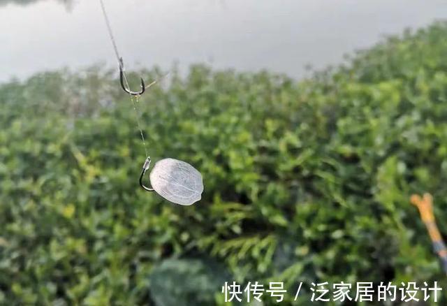 鄙视链|钓鱼圈也存在鄙视链?野钓黑坑吵得最凶,路亚在角落瑟瑟发抖