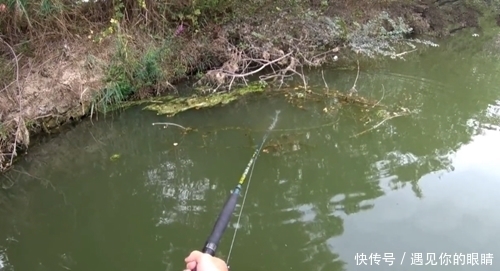 两人强强联手钓获大鱼,忍不住举起大鲶鱼,网友:只有羡慕的份