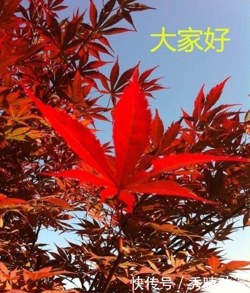 凌乱|幽默笑话:某宝上买了一箱火腿肠,吃的正开心呢,看到评论凌乱了