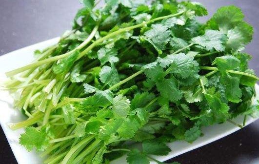 煮水|香菜煮水功效高，不出半月，几大好处不请自来，给身体洗个澡