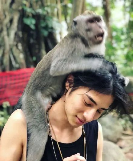 创4颜值怎么这么垮？！小栗旬侄子、翻版宋威龙都救不了吗？