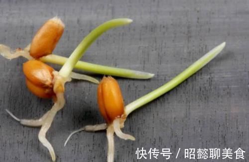 豆芽|吃蔬菜比较健康?这8种蔬菜或是例外,兴许比槟榔还伤身,别吃了