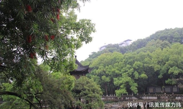 泸州忠山公园的红千层开了，我觉得你们该来看看，妙趣横生