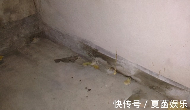 管道|买房有“三原则”,买南,买边,不买二,不会挑到差房子