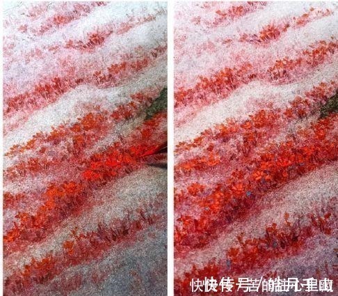 杉泽&90后画师把山海经异兽画活了,成功吸引1000多万粉